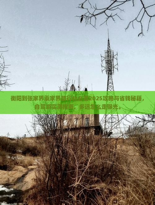 衡阳到张家界袁家界旅行社
