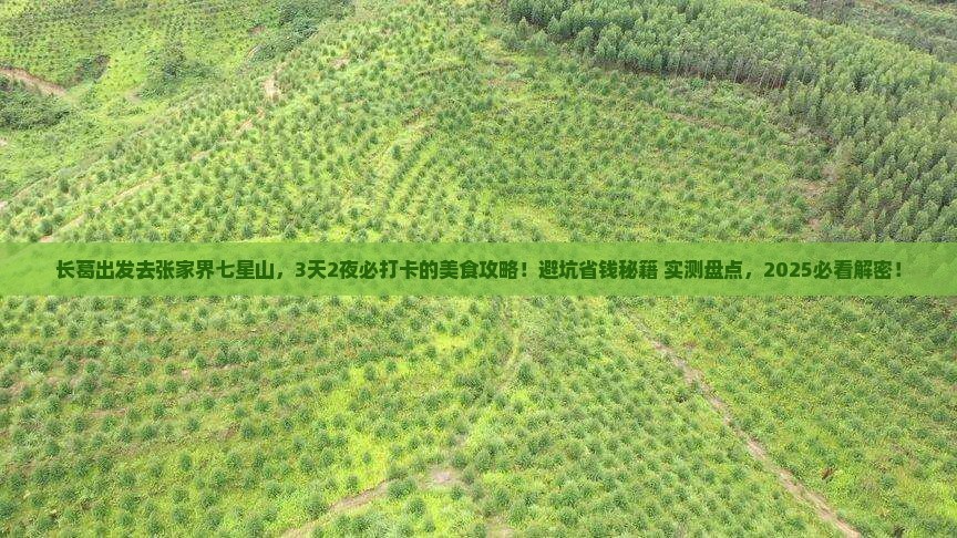 长葛到张家界七星山旅游小吃
