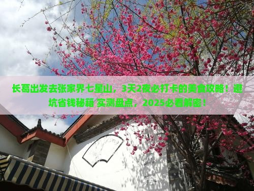 长葛到张家界七星山旅游小吃