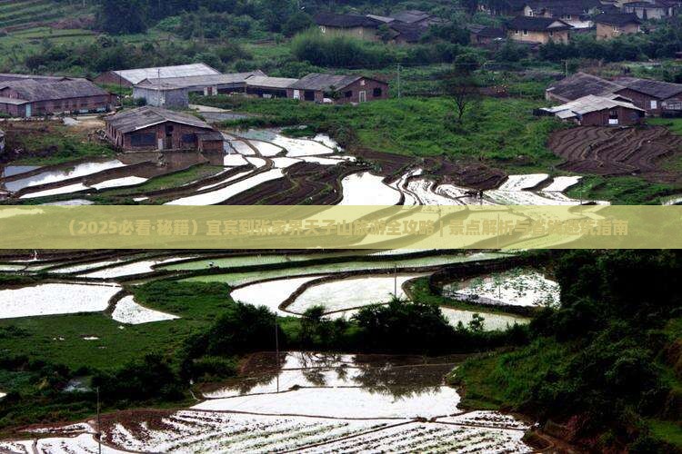 宜宾到张家界天子山团体旅游 宜宾到张家界天子山团体旅游