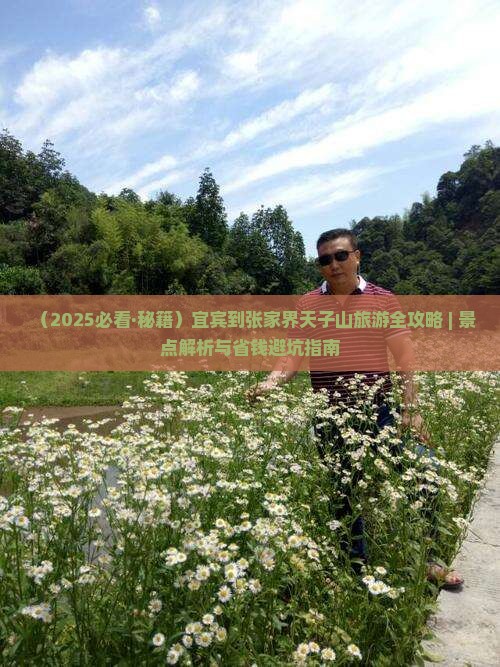 宜宾到张家界天子山团体旅游 宜宾到张家界天子山团体旅游