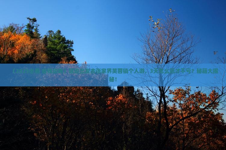延边去张家界芙蓉镇个人游