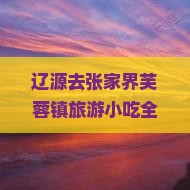辽源去张家界芙蓉镇旅游小吃