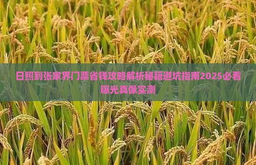 日照到张家界门票