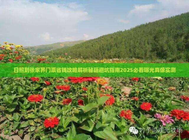 日照到张家界门票