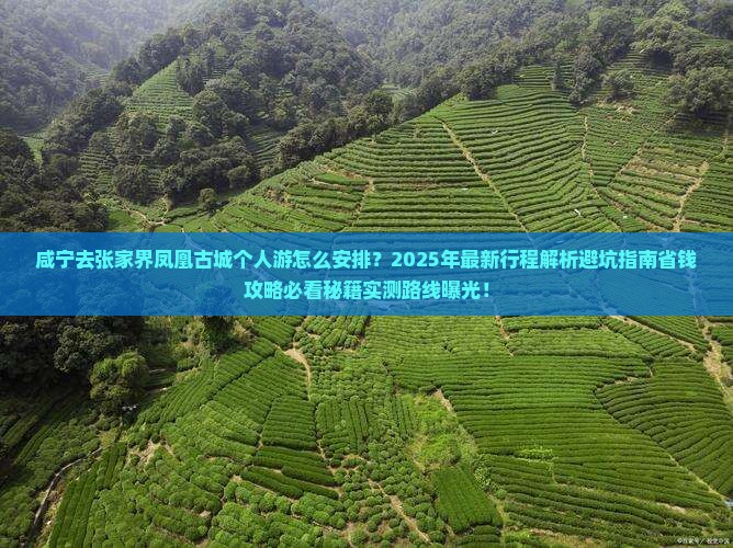 咸宁去张家界凤凰古城个人游