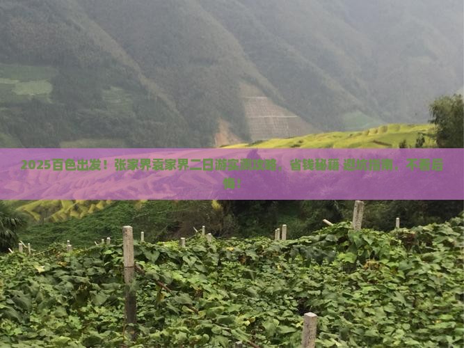 百色到张家界袁家界二日游 百色到张家界袁家界二日游