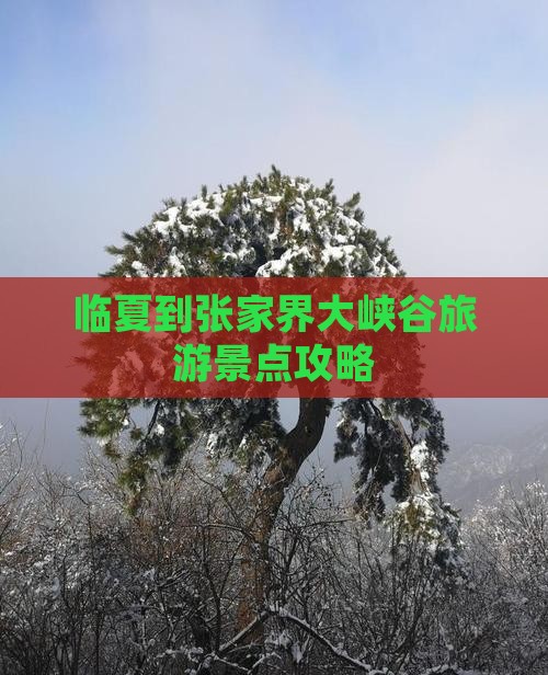 临夏到张家界大峡谷大型旅游团