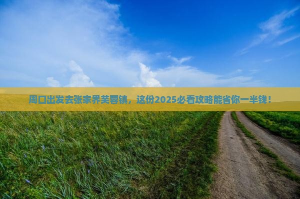 周口去张家界芙蓉镇个人游