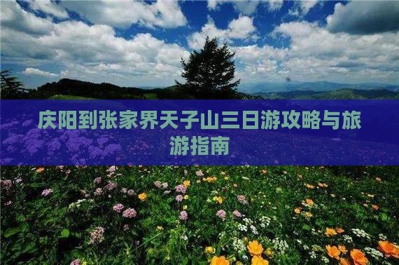 庆阳到张家界天子山三日游