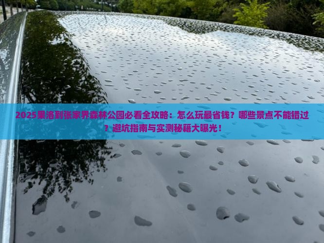 果洛到张家界森林公园哪里玩