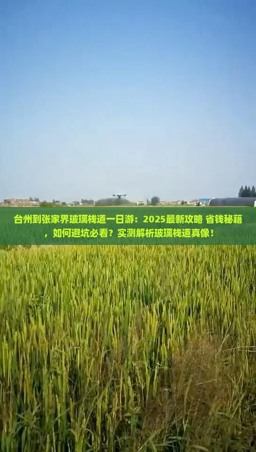 台州到张家界玻璃栈道一日