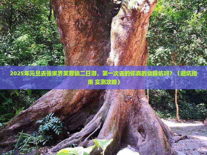 元旦去张家界芙蓉镇二日游