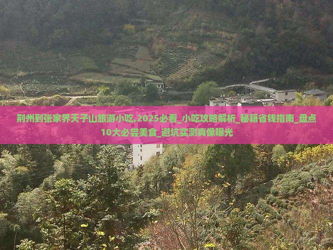 荆州到张家界天子山旅游小吃