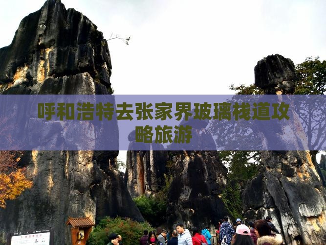 呼和浩特去张家界玻璃栈道自由团