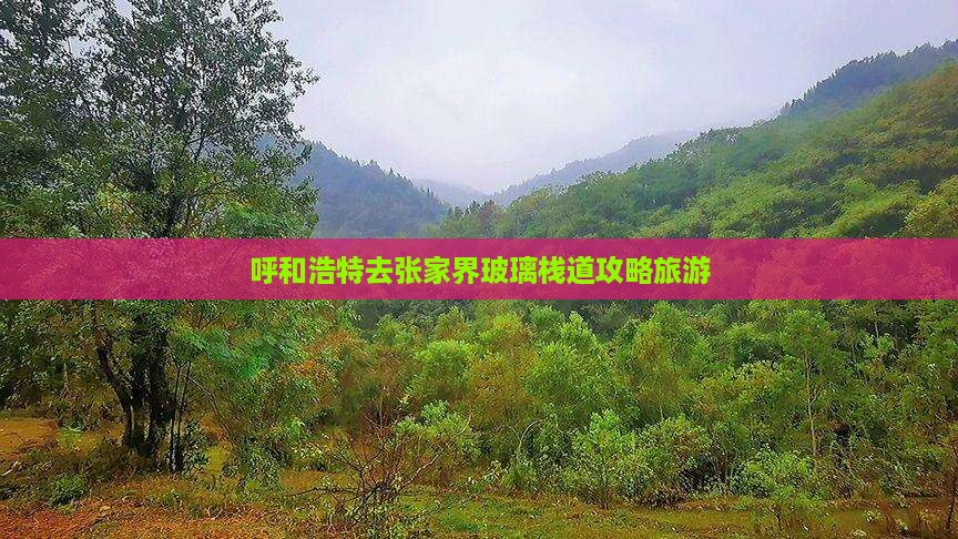 呼和浩特去张家界玻璃栈道自由团