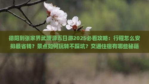 德阳到张家界武陵源五日游