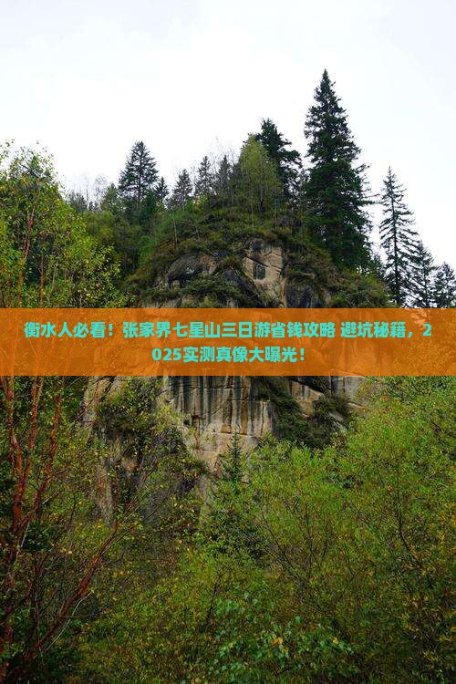 衡水去张家界七星山三日游