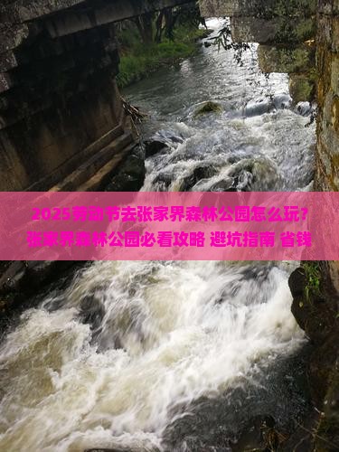 劳动节去张家界森林公园哪里玩