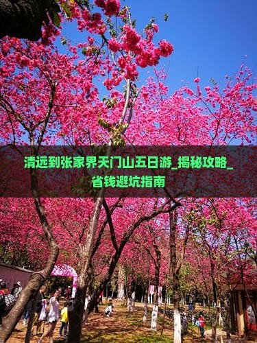 清远到张家界天门山五日游