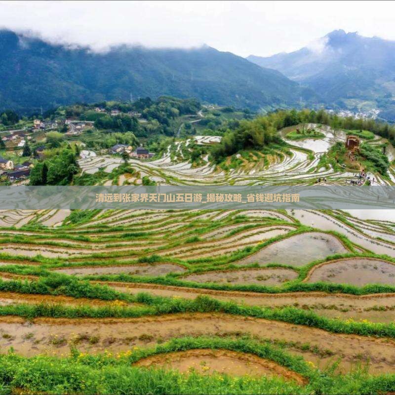 清远到张家界天门山五日游