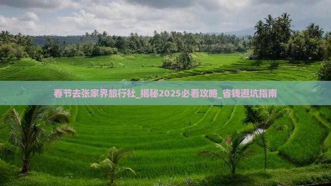春节去张家界旅行社
