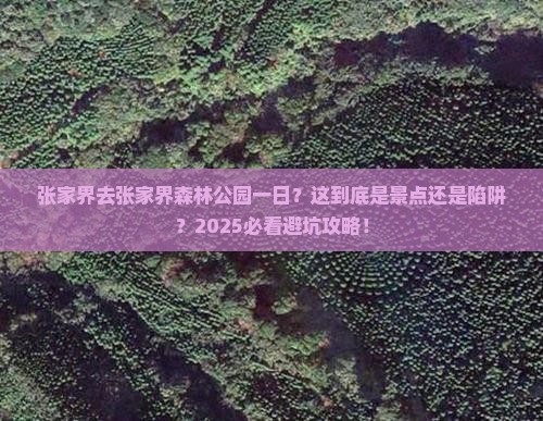张家界去张家界森林公园一日
