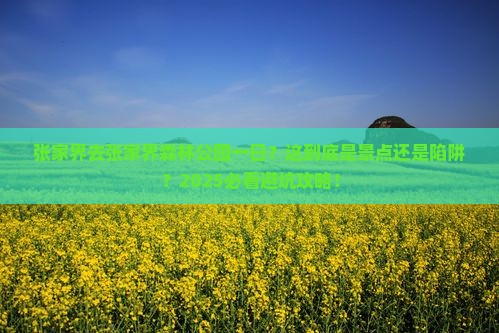 张家界去张家界森林公园一日
