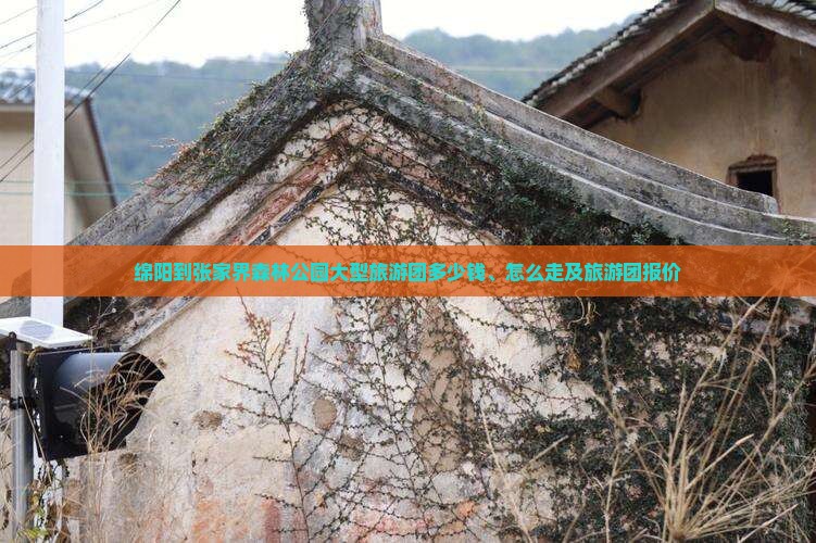 绵阳到张家界森林公园大型旅游团