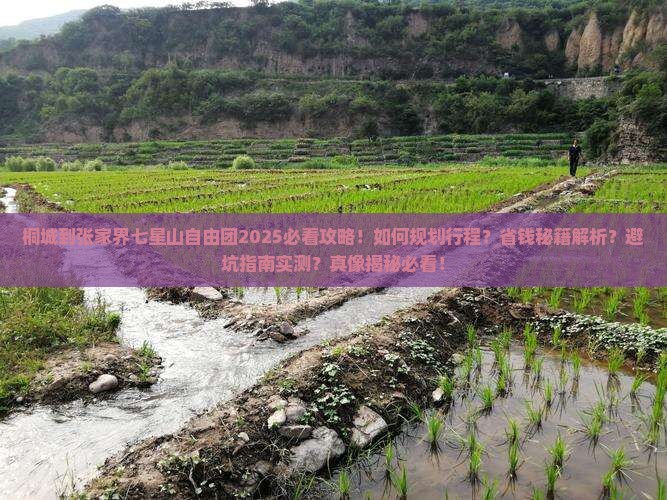 桐城到张家界七星山自由团