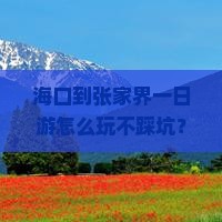 海口到张家界一日