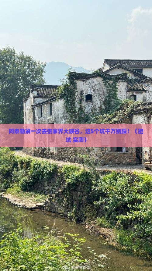 阿泰勒去张家界大峡谷旅游 阿泰勒去张家界大峡谷旅游