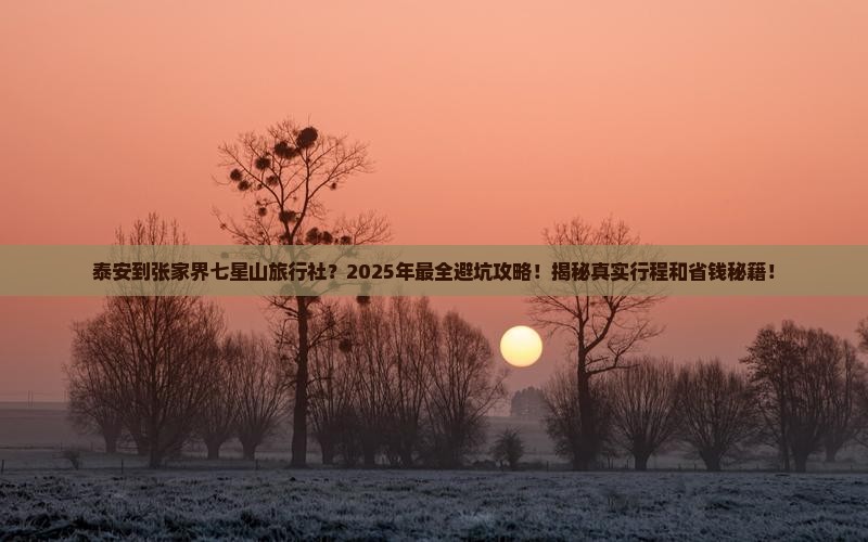 泰安到张家界七星山旅行社