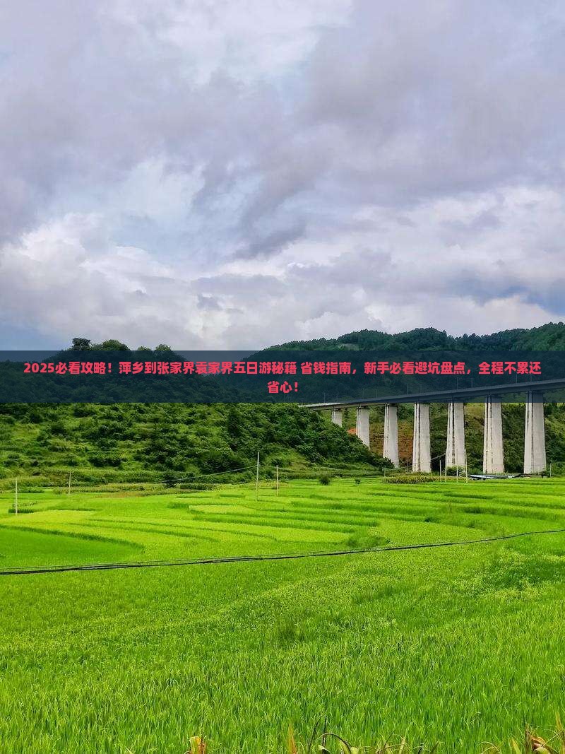 萍乡到张家界袁家界五日游