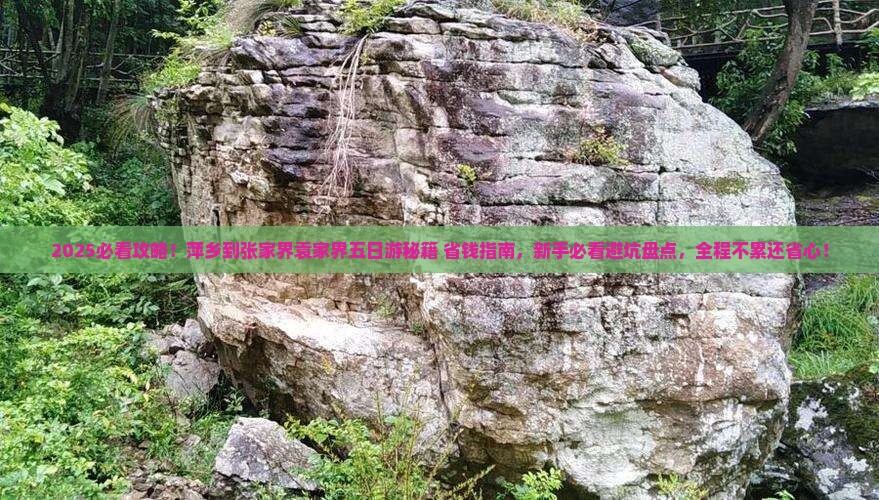 萍乡到张家界袁家界五日游