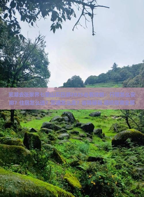 芜湖去张家界七星山五日游