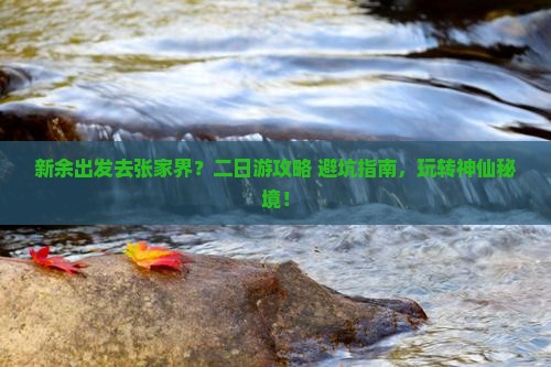新余去张家界森林公园二日游 新余去张家界森林公园二日游
