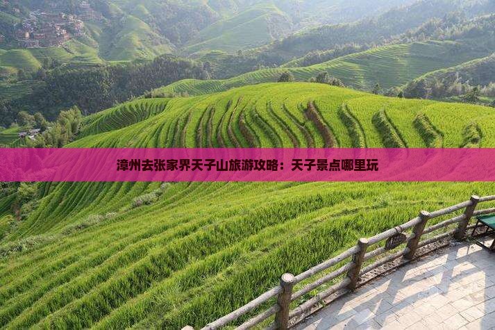 漳州去张家界天子山哪里玩