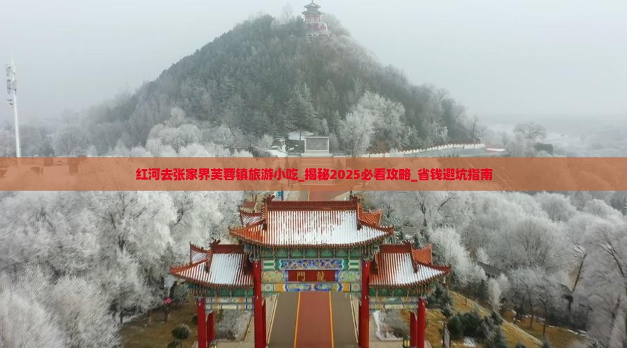 红河去张家界芙蓉镇旅游小吃
