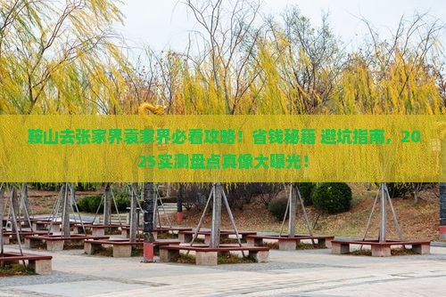 鞍山去张家界袁家界必去地