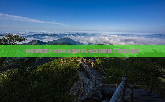 荆州到张家界大峡谷七日游