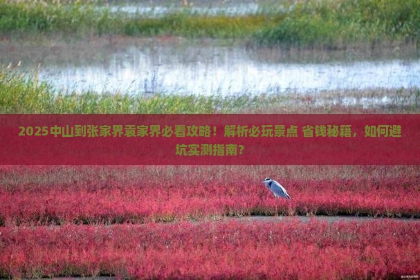 中山到张家界袁家界哪里玩