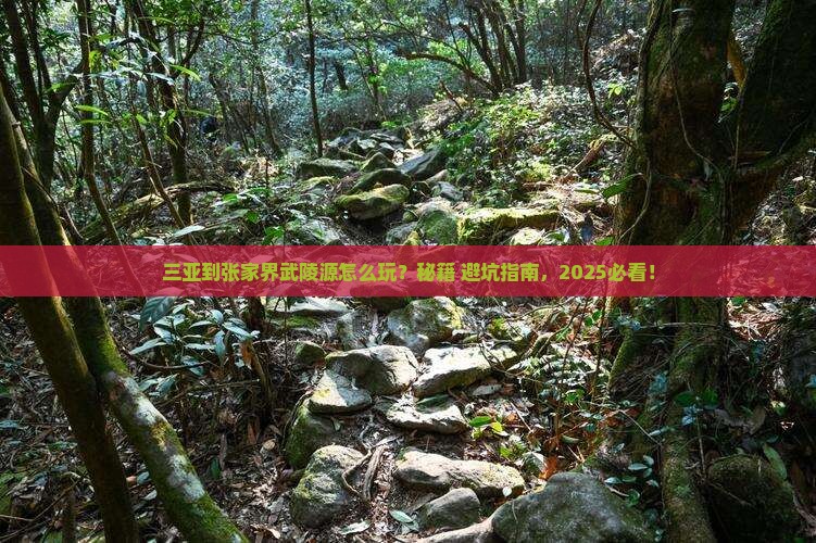 三亚到张家界武陵源哪里玩