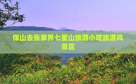 保山去张家界七星山旅游小吃