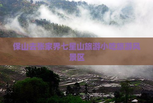 保山去张家界七星山旅游小吃