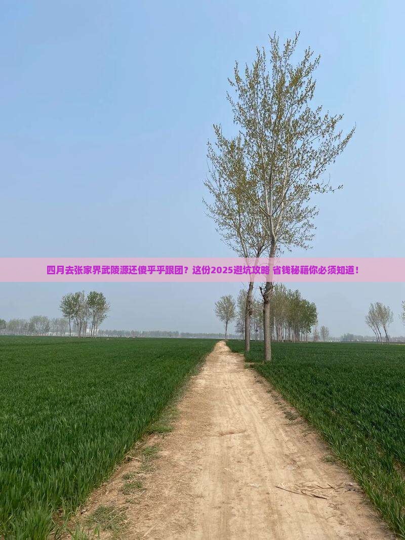 四月去张家界武陵源大型旅游团