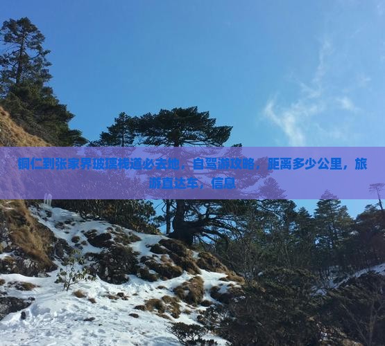 铜仁到张家界玻璃栈道必去地