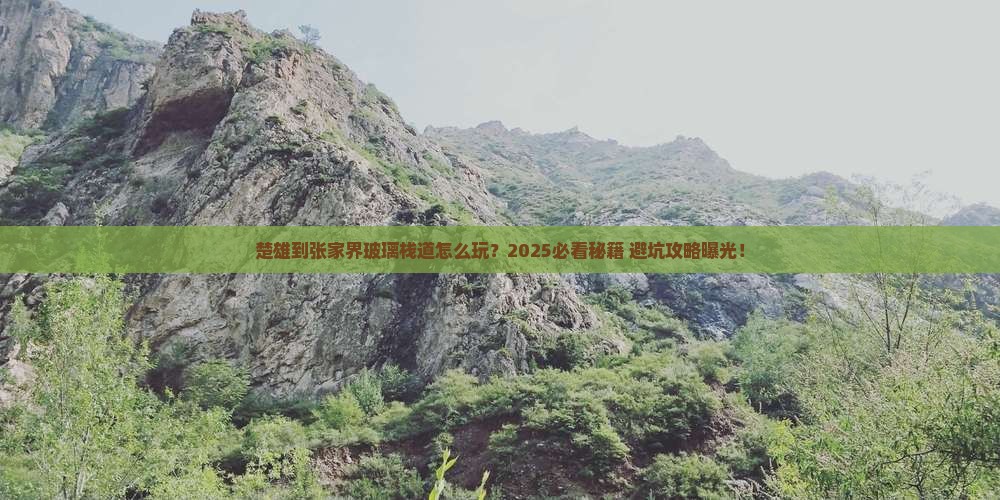 楚雄到张家界玻璃栈道攻略