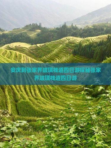 安庆到张家界玻璃栈道四日游