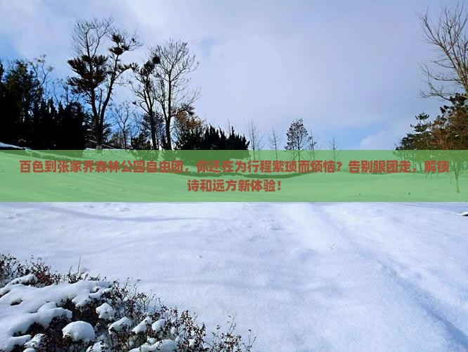 百色到张家界森林公园自由团